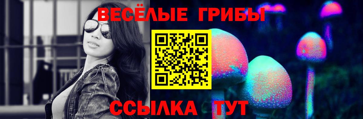 Югорск  Галлюциногенные грибы Psilocybine cubensis  Вход с VPN  Псилоцибиновые грибы Psilocybe 