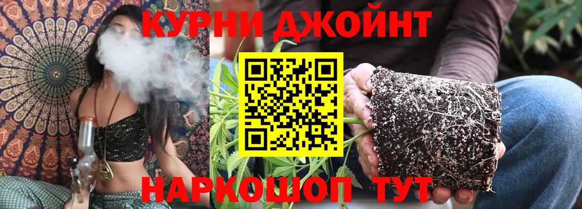 Бошки Шишки SATIVA & INDICA  Бошки марихуана Ganja  МАРИХУАНА конопля  Югорск  Канабис ГИДРОПОН  Вход с VPN 